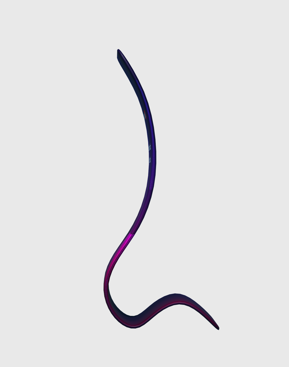 Espositori in tessuto a tensione a serpente