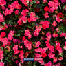 Fondo a parete floreale artificiale per eventi – Stile 65