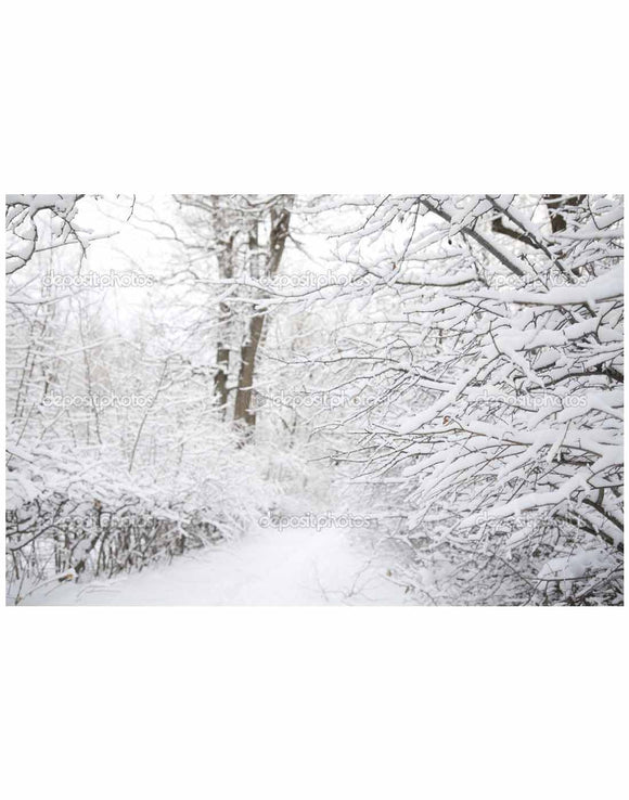 Fondale in tessuto stampato indelebile con scena invernale bianca