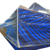 Tenda da campeggio personalizzata per impieghi gravosi (10 piedi x 10 piedi)