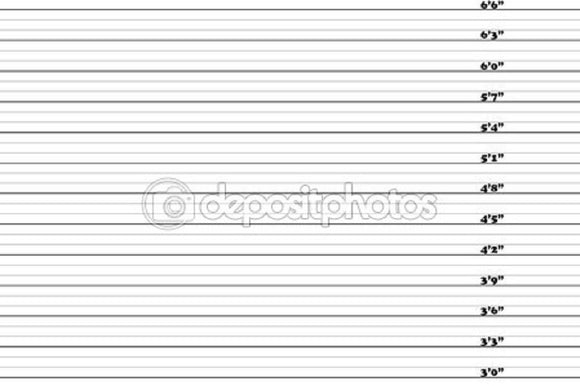 3-6.6 Inch Mugshot Theme Print Photography Backdrop