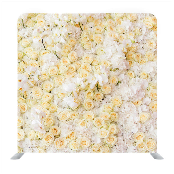 Rose Flowers Media Wall - Backdropsource