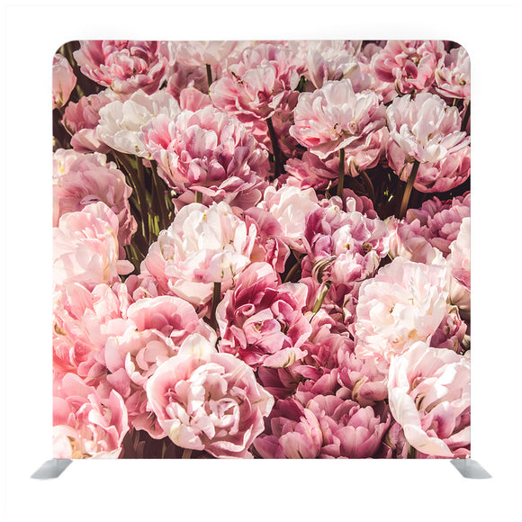 Rose pattern Media wall - Backdropsource