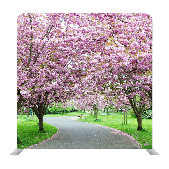 Scenic View of a Beautiful Winding Country Road Lined Background Media Wall - Backdropsource