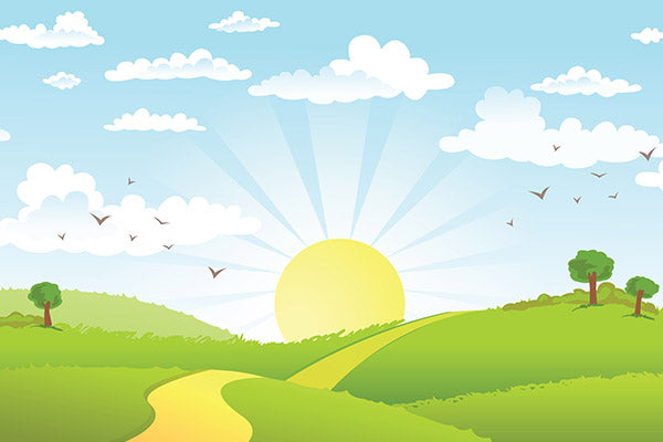 The Road in Green Field Backdrop - Backdropsource